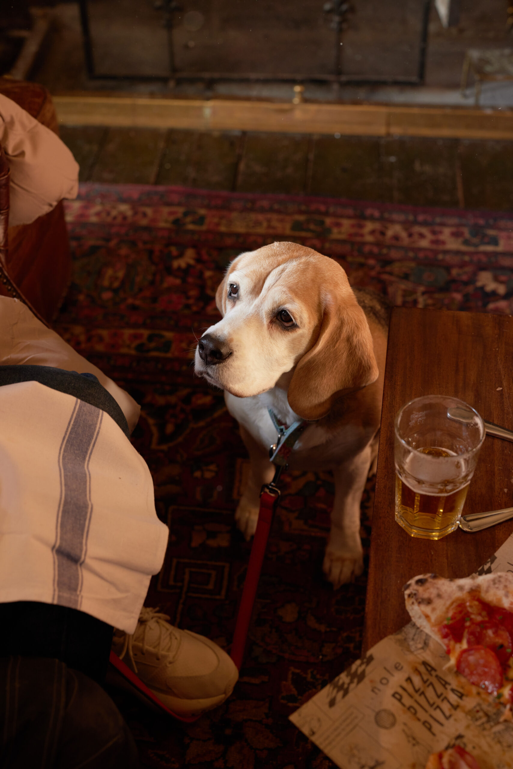 Dog-friendly stays at The Pembroke Arms in Wilton, Wiltshire